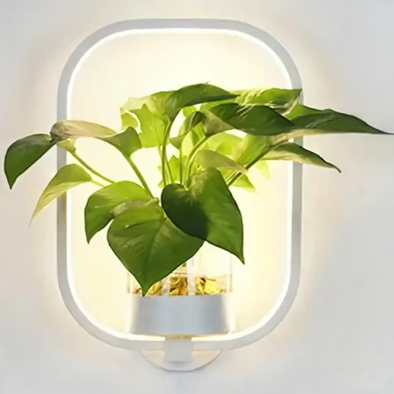 LumiGrow – Minimalistisk LED Væglampe med Integreret Planteholder