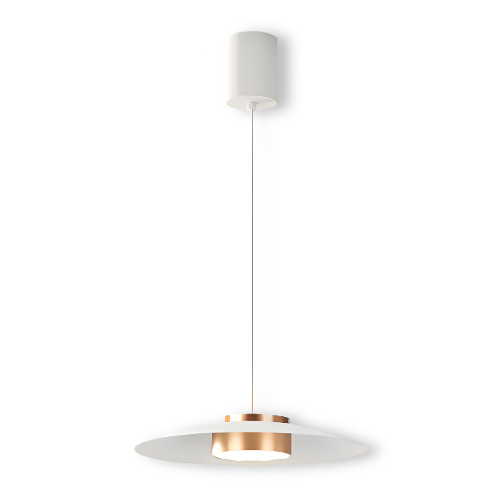 Industriel pendellampe med dæmper – sort LED lampe i nordisk design