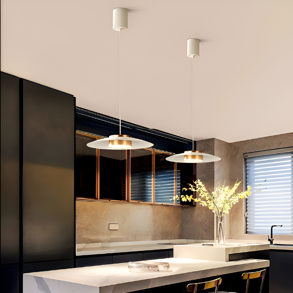 Industriel pendellampe med dæmper – sort LED lampe i nordisk design