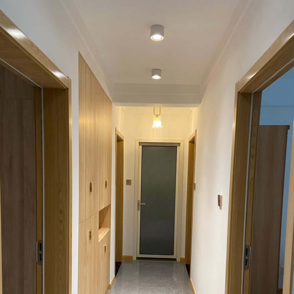Justerbar LED downlight i aluminium – moderne loftbelysning
