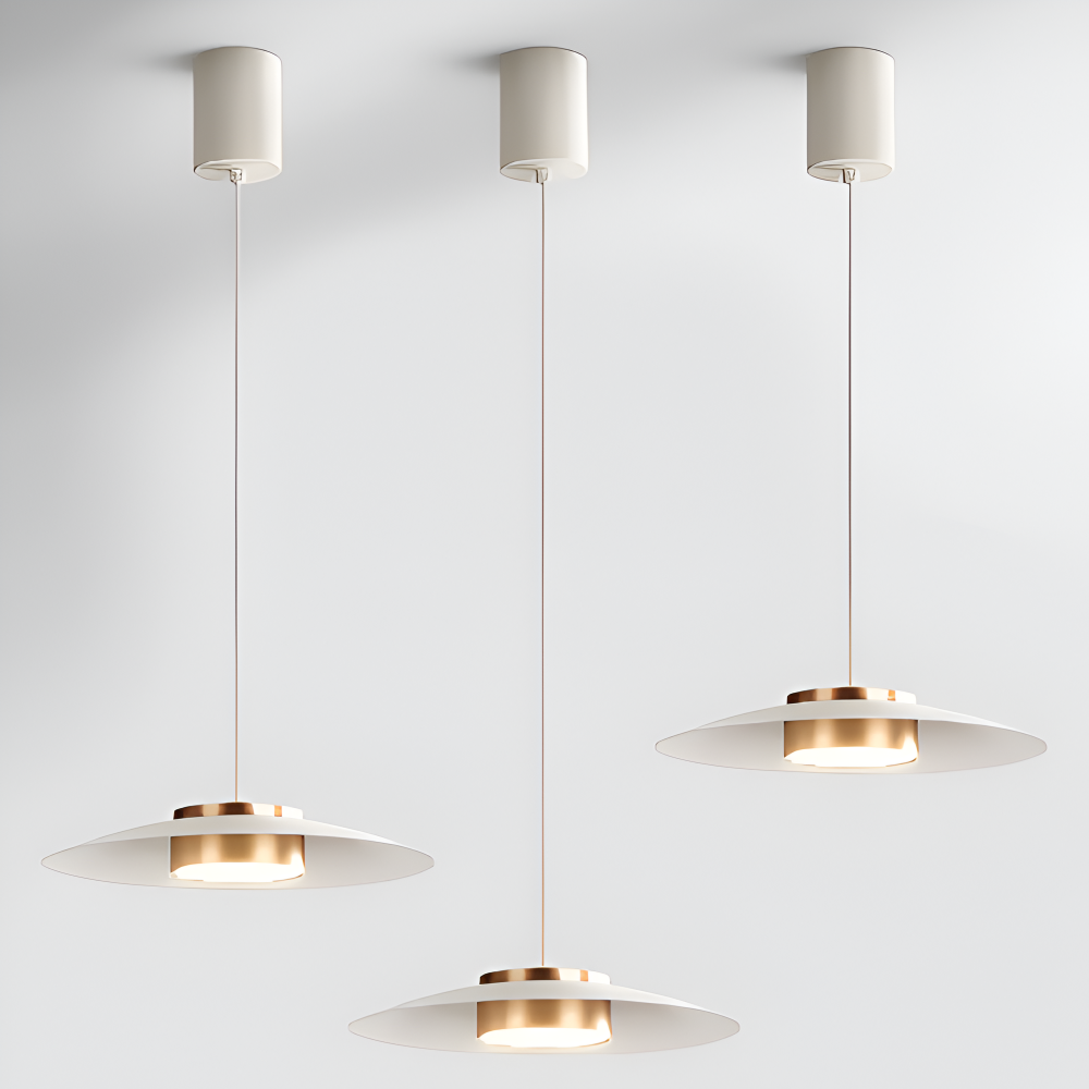 Industriel pendellampe med dæmper – sort LED lampe i nordisk design