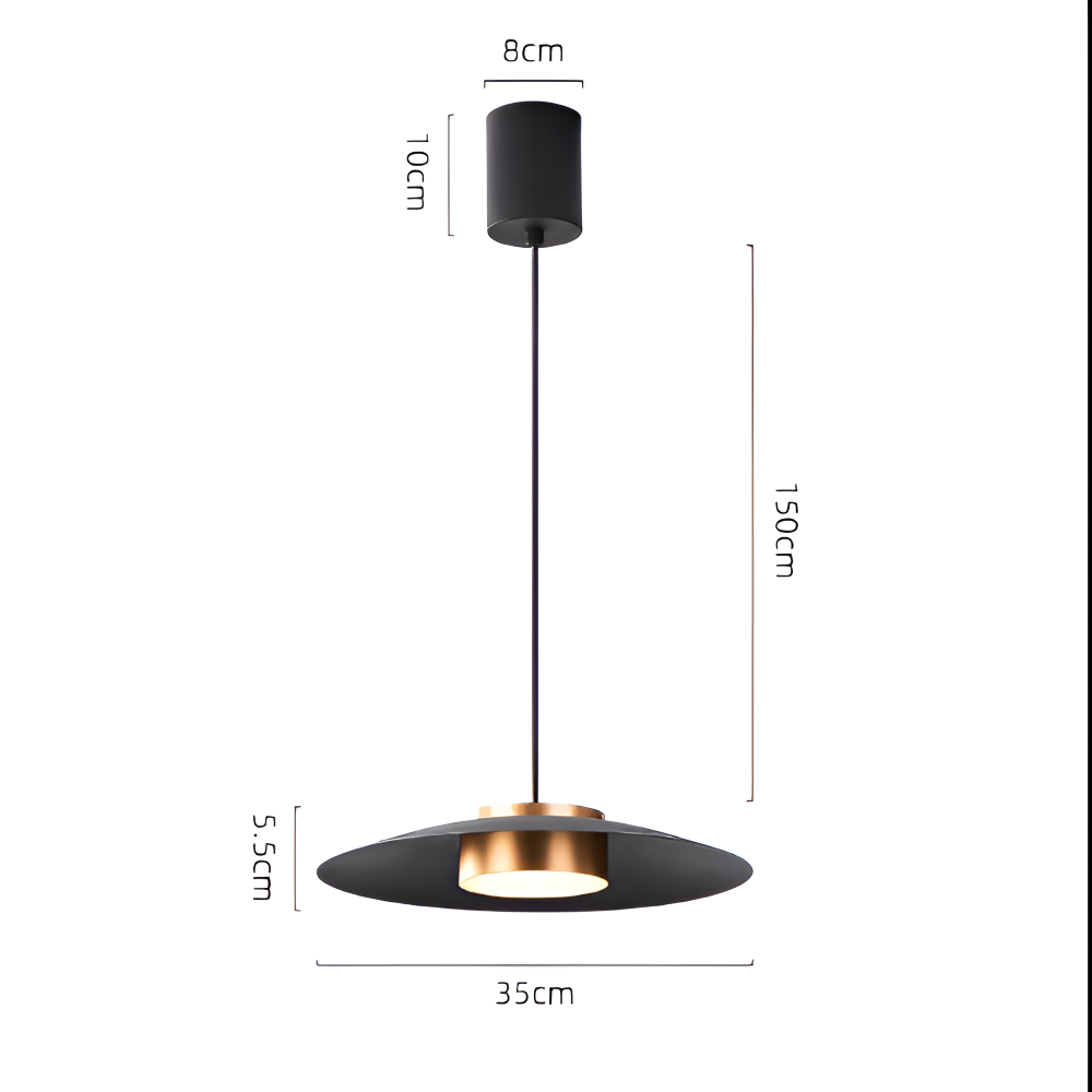 Industriel pendellampe med dæmper – sort LED lampe i nordisk design