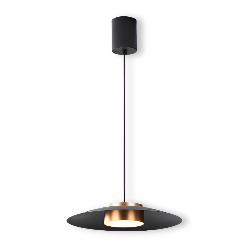 Industriel pendellampe med dæmper – sort LED lampe i nordisk design