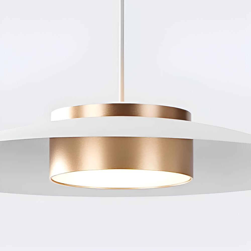 Industriel pendellampe med dæmper – sort LED lampe i nordisk design