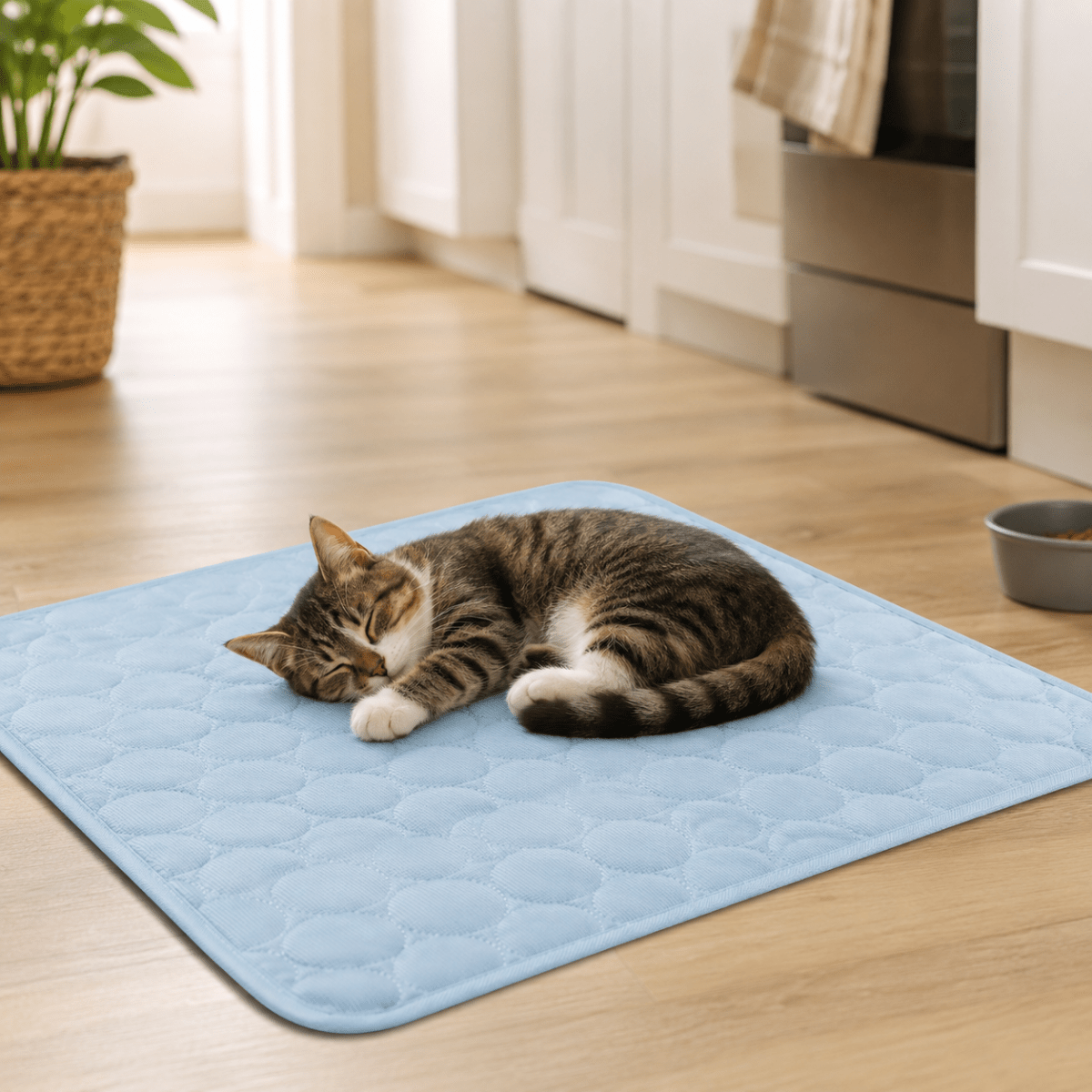 Kølende måtte til hunde og katte